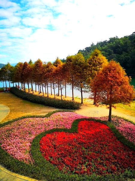 BEAUTIFUL NATURE