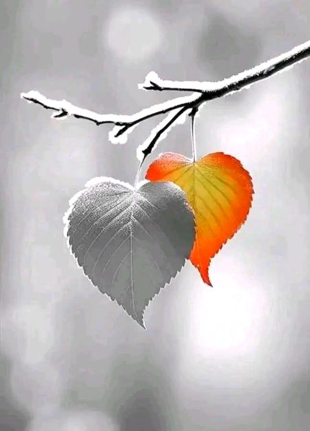 Beautiful Nature image