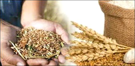 کتنا عجیب ہے نا....میں خاک بنا خاک سے پروان چڑھا اور اسی خاک کی آغوش میں سونا ہے.