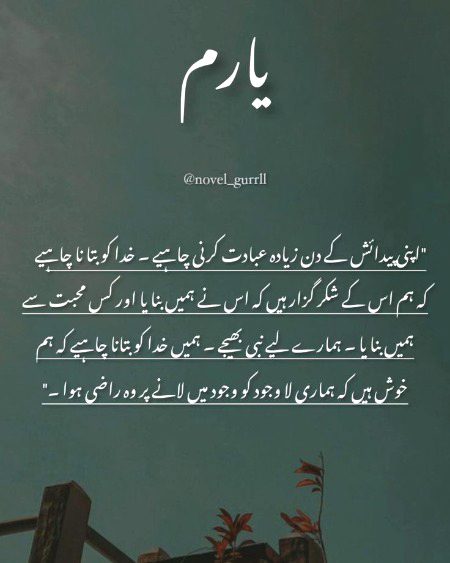 Romantic Novels image