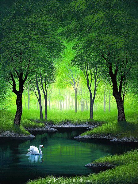 Beautiful Nature image