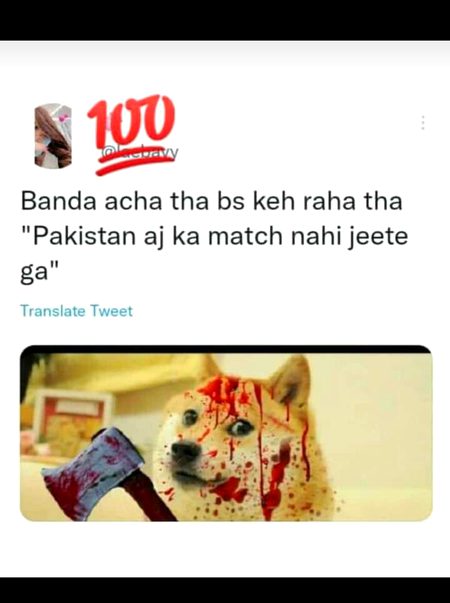 Memes & Satire image