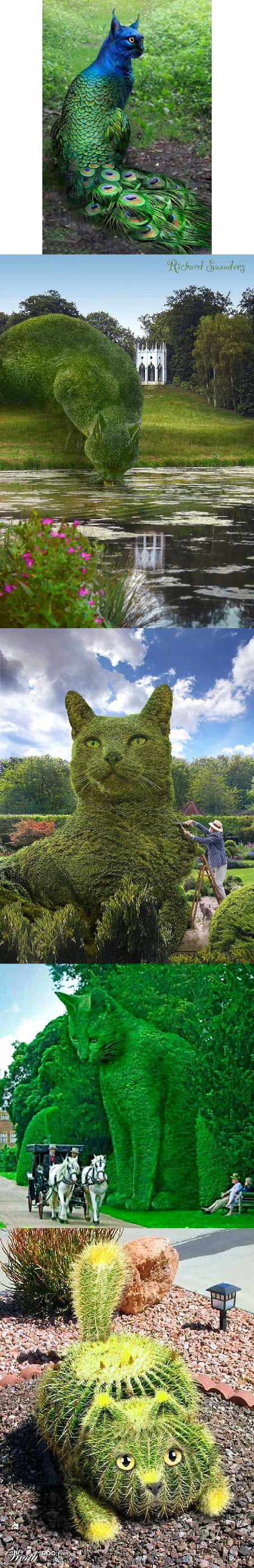 Marcel Park At Dubai