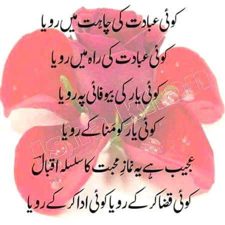 Sirf hr Manzil mohabat ki roya hi roya