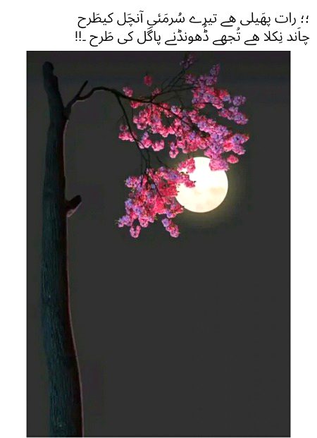 Romantic Poetry image