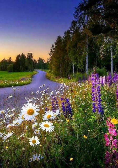 Beautiful Nature image