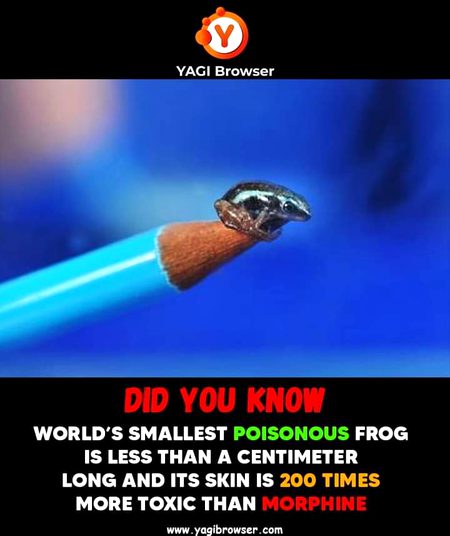 Interesting Posts image