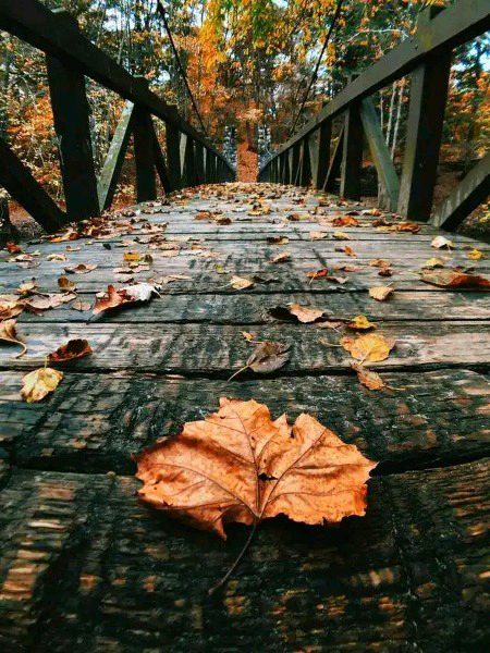 Beautiful Nature image