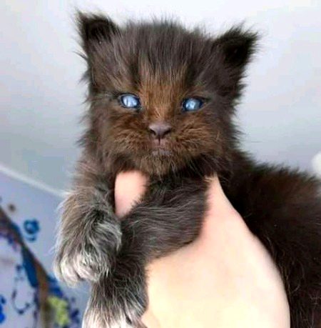 Beautiful Nature image