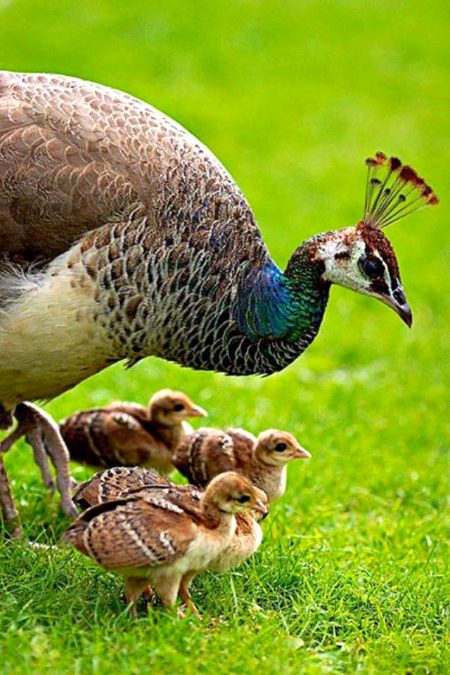 Beautiful Nature image