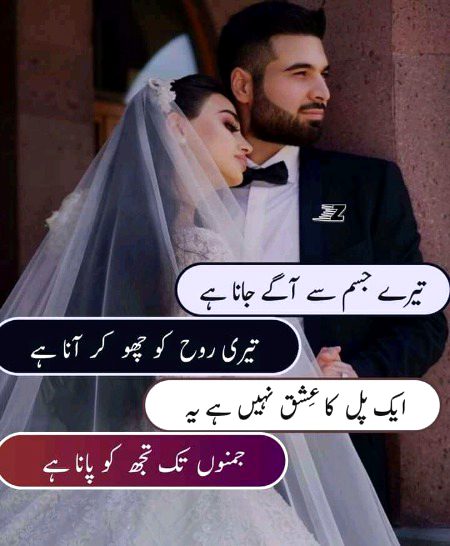 Romantic Novels image