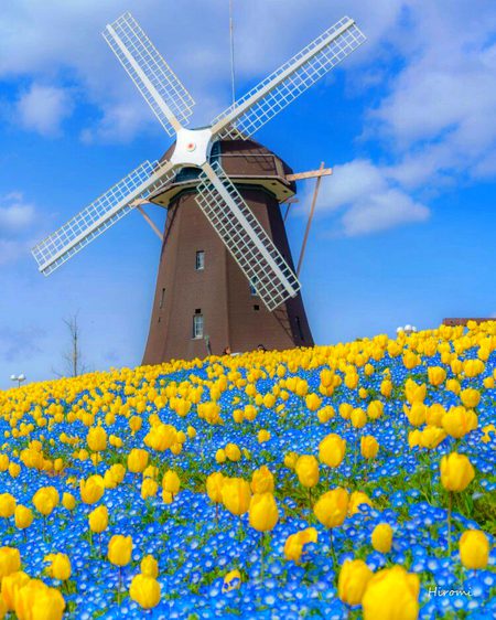 Beautiful Nature image