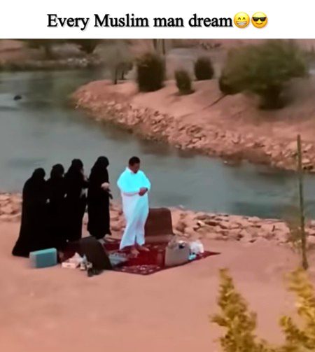 Memes & Satire image