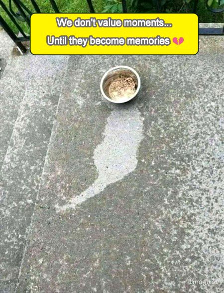 Life Advice image