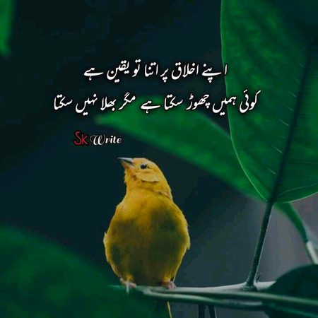 Attitude Quotes image