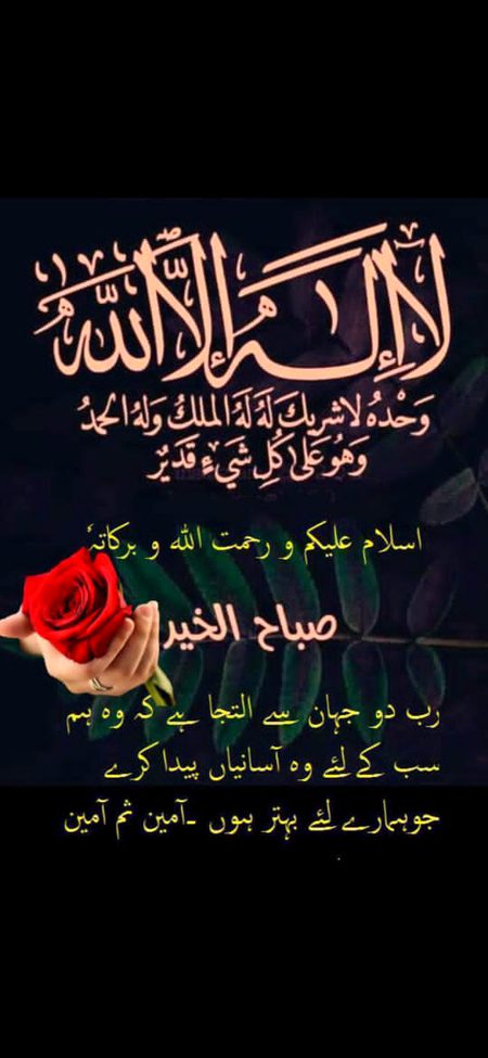 Ameen 🌸✍🌸