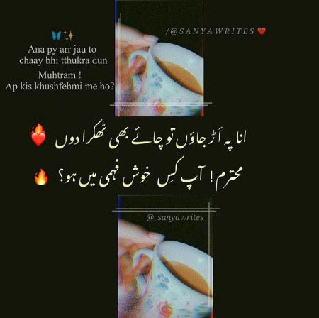 Attitude Quotes image