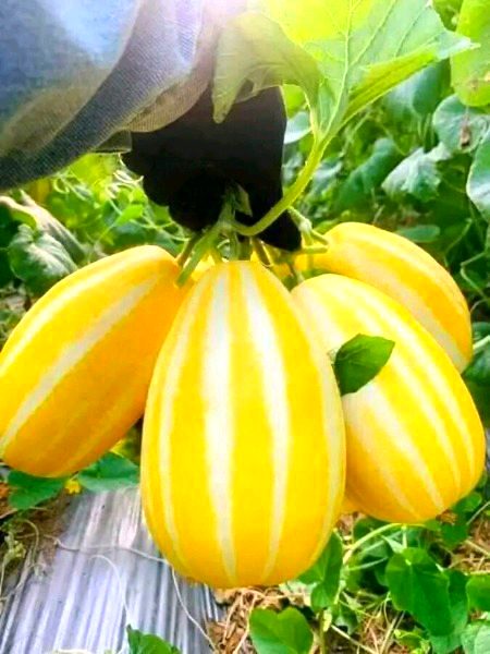 Beautiful Nature image