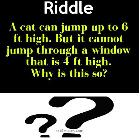 Riddles & Puzzles image