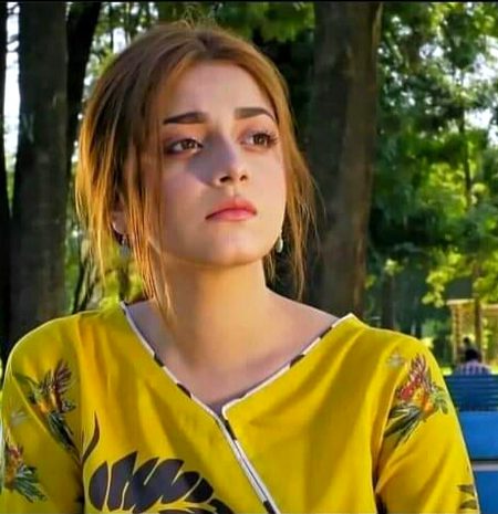 Pakistani Celebs image