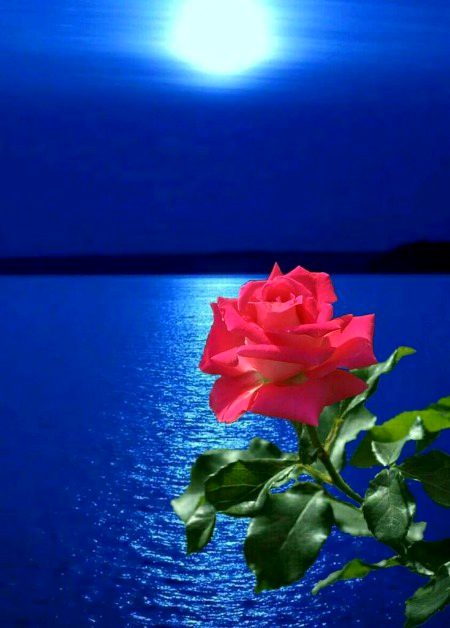 Beautiful Nature image