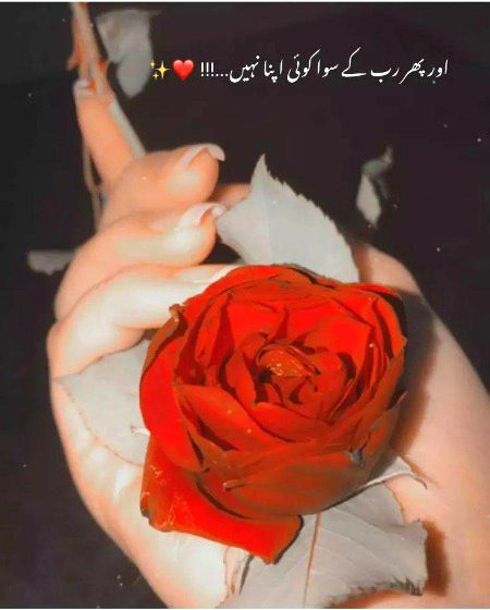 Motivational Quotes image