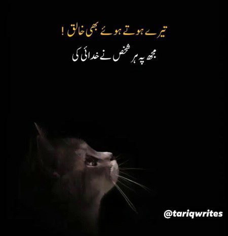 پوسٹ بائے قربان 💫