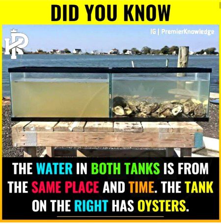 Interesting Posts image