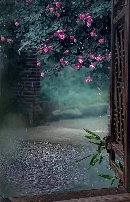 Beautiful Nature image