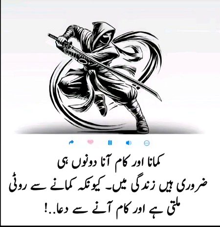 🌹 merijan-16 🌹
Kam ana Meri Zindagi ka maqsad h kamai JB tk Zindagi h hotii rahyegi Kam ana Afzal h