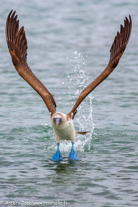 Beautiful Nature image