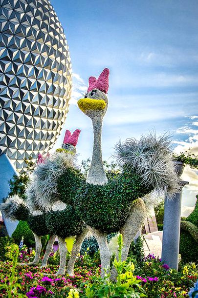 Beautiful Structures image