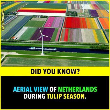 Interesting Posts image