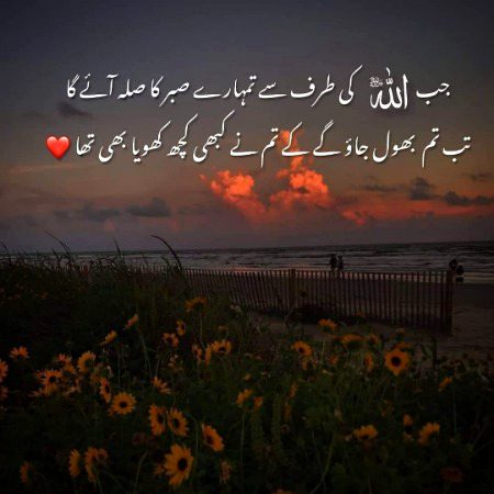 تم نے کبھی کُچھ کھویا بھی تھا