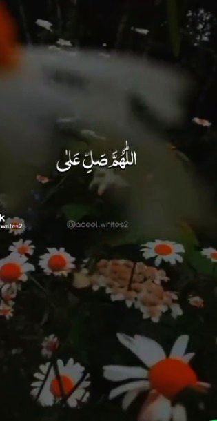 Islamic Quotes image