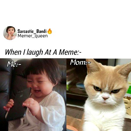 Memes & Satire image