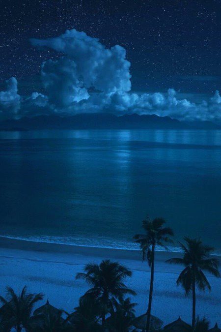 Beautiful Nature image