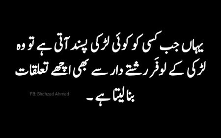 Attitude Quotes image