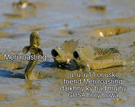 Damadam Roasting image