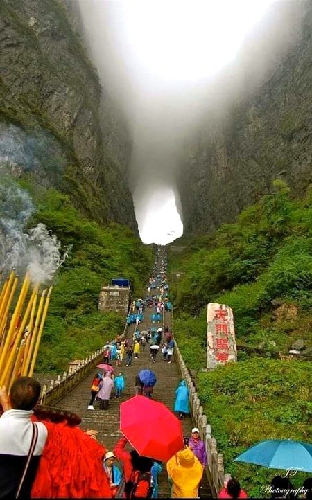Beautiful Nature image