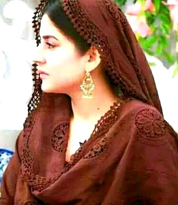 Pakistani Celebs image