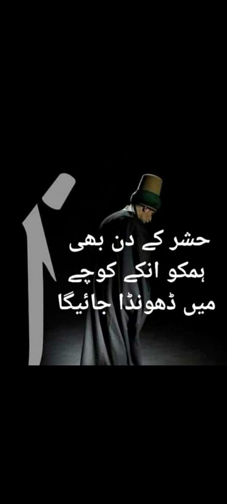 🌹🌷🌹🌷 Bushi 🌹🌷🌹