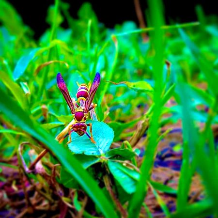 Beautiful Nature image