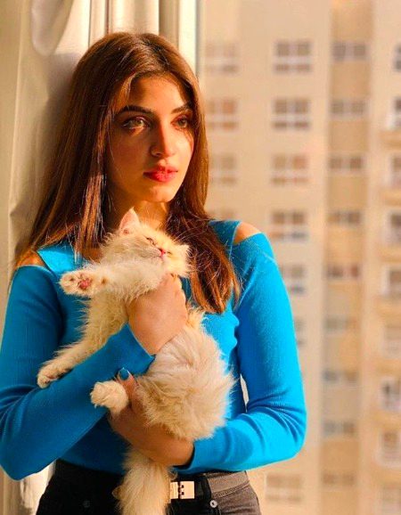 Pakistani Celebs image