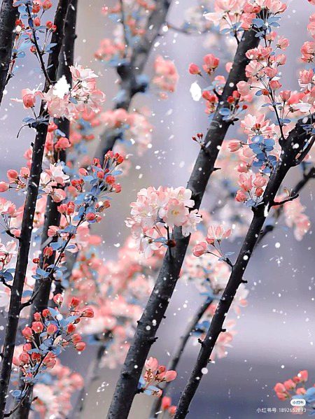 Beautiful Nature image