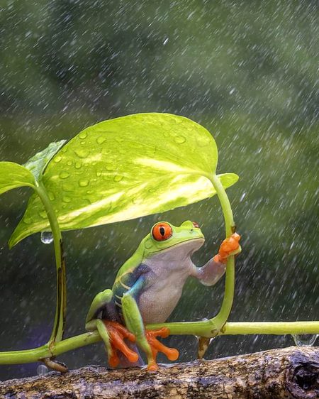 Beautiful Nature image