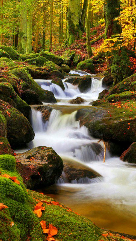 Beautiful Nature image