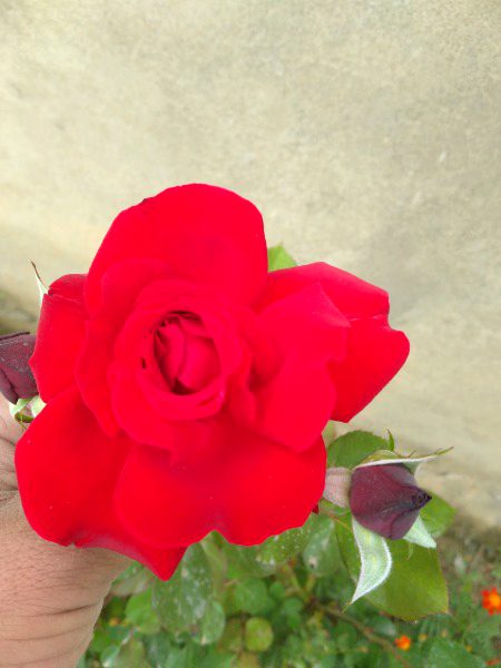 4 my 💗👈
 ZaRRaaR💔🥀