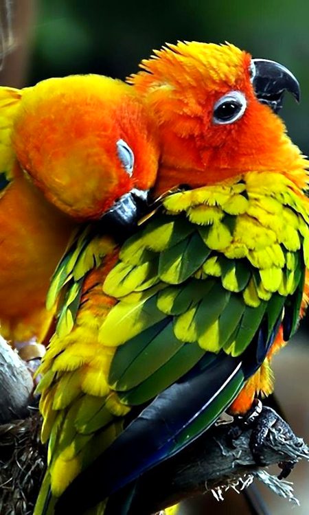 Beautiful Nature image