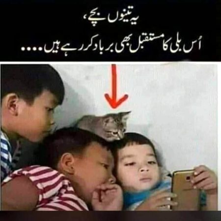 Memes & Satire image